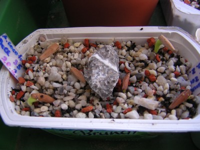 DSCN3637.JPG