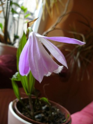 BILD0928.JPG