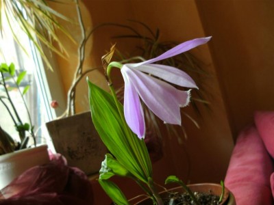 BILD0927.JPG