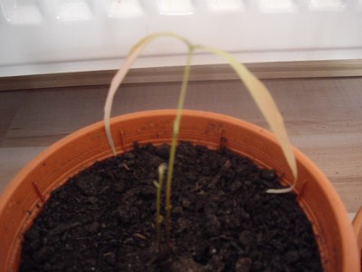 IMGP1028_Bildgröße ändern.JPG