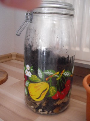 IMGP1030_Bildgröße ändern.JPG