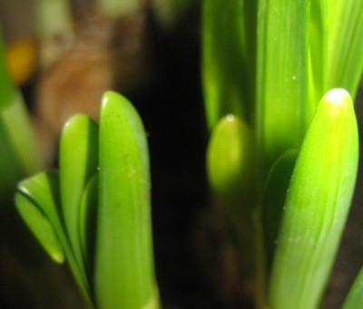 20100225_0001_1.JPG
