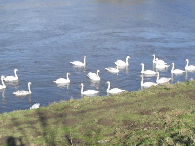 SDC12682_Bildgröße ändern.JPG