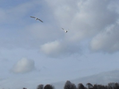 SDC12680_Bildgröße ändern.JPG