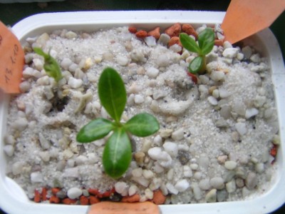 DSCN3657.JPG