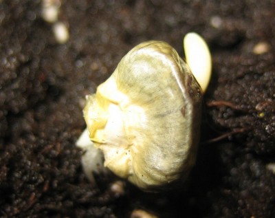 20100226_0001.JPG