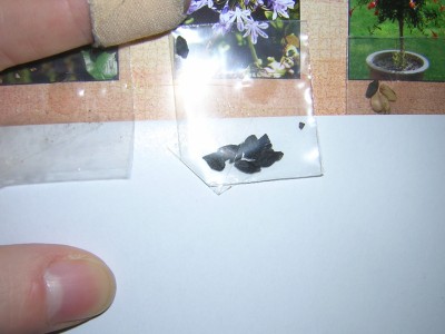DSCN3675.JPG
