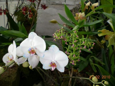 DSCN65200001.JPG