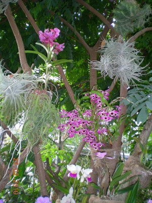 DSCN65120001.JPG