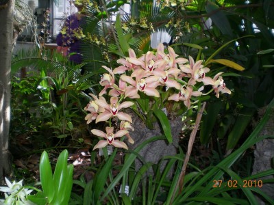 DSCN65090001.JPG