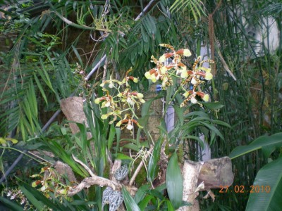 DSCN65060001.JPG
