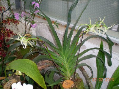 DSCN65370001.JPG