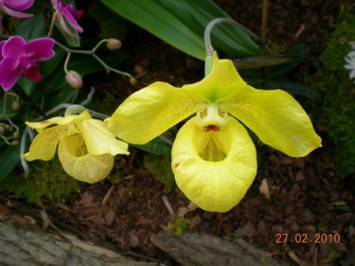 DSCN65350001.JPG
