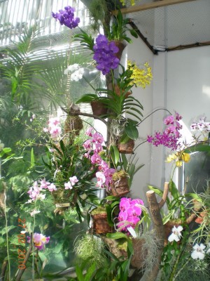 DSCN65220001.JPG