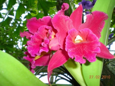 DSCN65020001.JPG