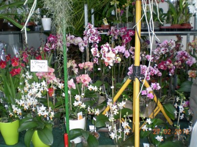 DSCN65000001.JPG