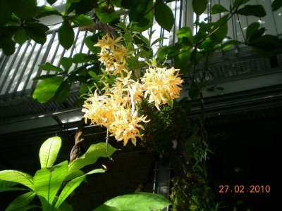 DSCN65530001.JPG