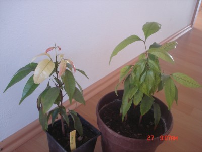 DSC01333.JPG