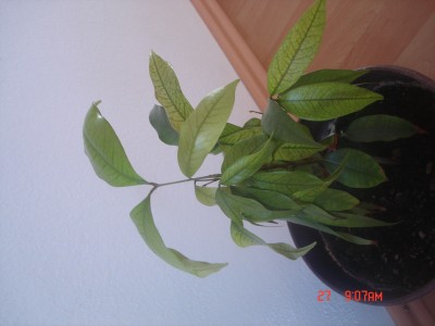 DSC01335.JPG