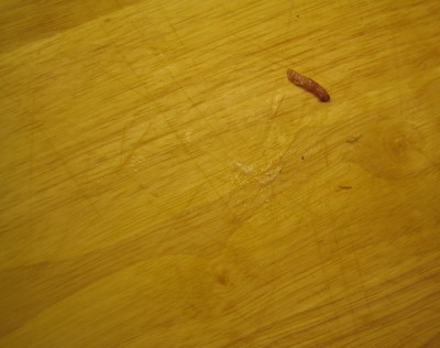 20100227_0001_16.JPG