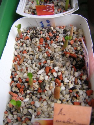 DSCN3682.JPG