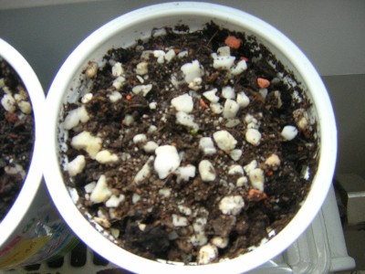 DSCN3679.JPG