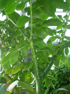 DSCN65420001.JPG