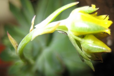 20100302_0001_4.JPG