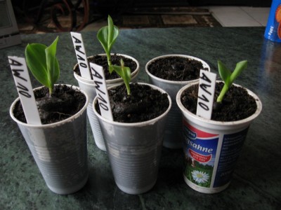 02.03.2010.jpg
