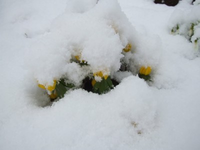 DSCF5560.JPG