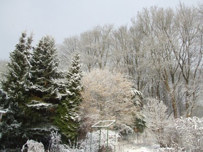 DSCF5552.JPG