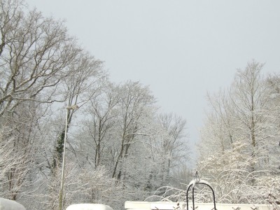 DSCF5548.JPG