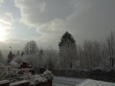 DSCF5546.JPG