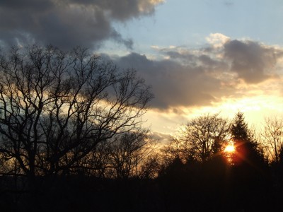 DSCF5523.JPG