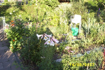 Test_0926.JPG