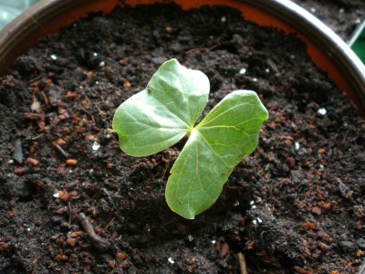 06032010-2.JPG