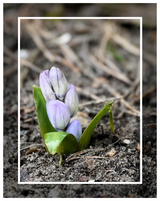 2010-03-06 153kl.jpg