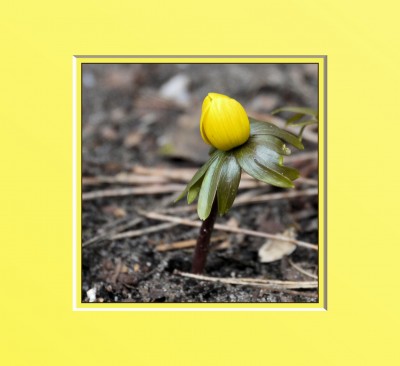 2010-03-06 143klein.jpg