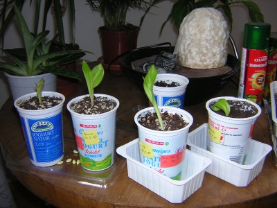 DSCN3708.JPG