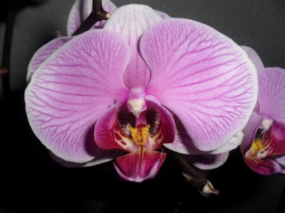 SDC12505_Bildgröße ändern.JPG