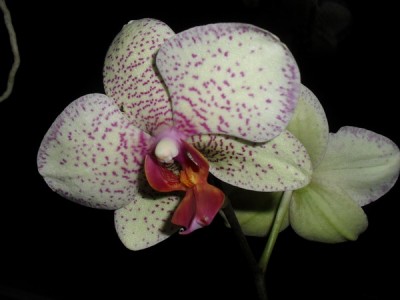 SDC12584_Bildgröße ändern.JPG