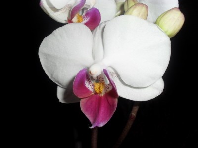 SDC12590_Bildgröße ändern.JPG