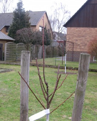 2010_02_2.JPG