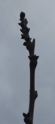 2010_02_4.JPG
