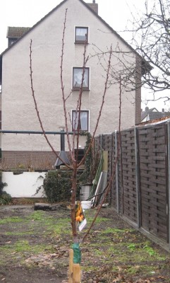 2010_02_2.JPG