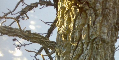 070320101621_1.jpg
