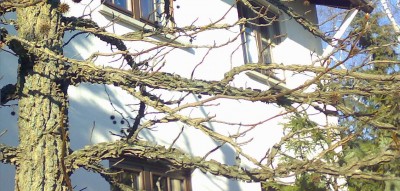 070320101617_1.jpg