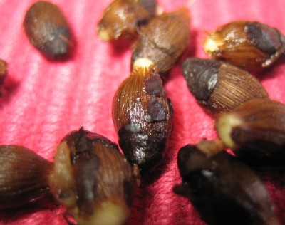 20100309_0001_2.JPG