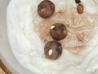 DSCI0056.jpg