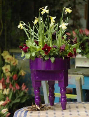 1992-zwiebelblumen.jpg